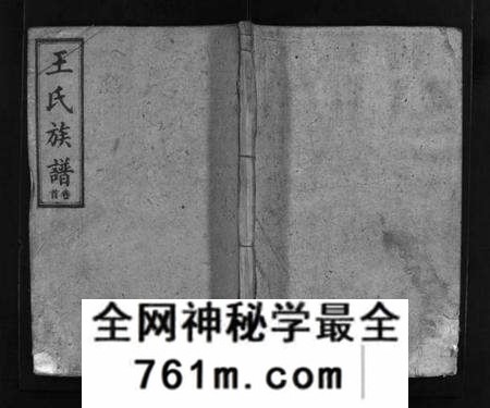 湖南王氏族谱-王氏族谱 [16卷,首3卷].pdf电子版