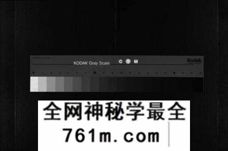 湖北成氏族谱-成氏宗谱 [残卷](别名：Cheng Shi Zong Pu).pdf电子版