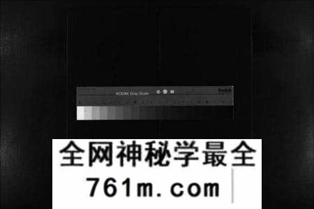 浙江陈氏族谱-陈氏族谱 [不分卷].pdf电子版