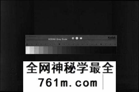 四川韦氏族谱-韦氏宗谱 [2卷](别名：Wei Shi Zong Pu、韦氏宗谱).pdf电子版