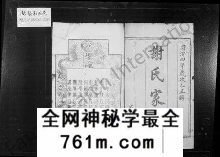 湖南谢氏族谱-谢氏族谱 [13卷,首1卷].pdf电子版