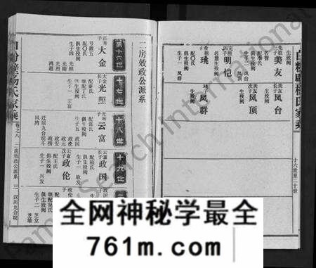 湖北杨氏族谱-白粉壁杨氏家乘 [38卷,首末各1卷](别名：Bai Fen Bi Yang Shi Jia Cheng).pdf电子版