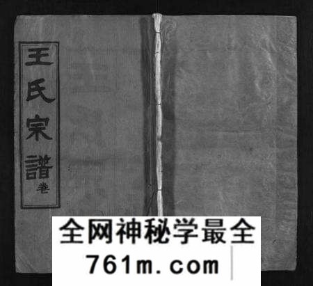 湖北王氏族谱-王氏宗谱 [10卷,首2卷](别名：Wang Shi Zong Pu、王氏宗谱).pdf电子版