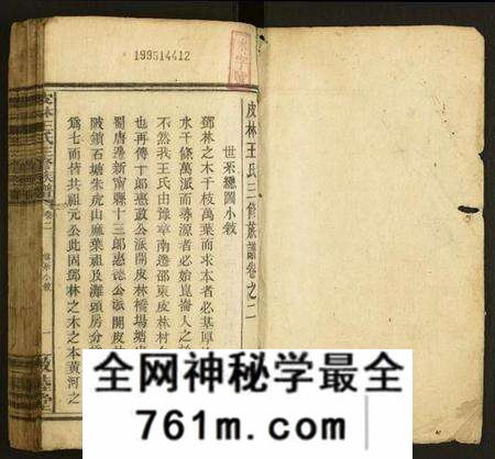 湖南王氏族谱-皮林王氏三修族谱.pdf电子版