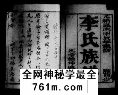 江苏李氏族谱-李氏族谱 [12卷](别名：如皋西乡李氏族谱).pdf电子版