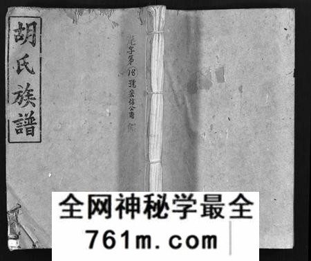 湖南胡氏族谱-胡氏族谱 [10卷,首1卷].pdf电子版