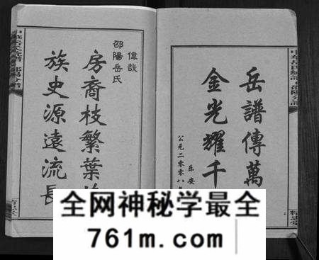 湖南岳氏族谱-中华岳氏统谱邵阳分谱[28卷].pdf电子版