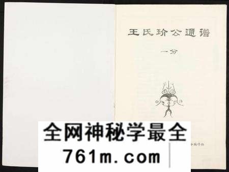江西王氏族谱-王氏玠公族谱 [8册].pdf电子版
