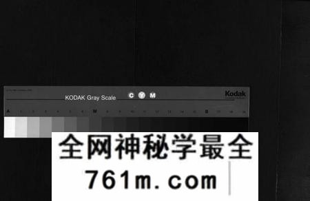 湖南姚氏族谱-邵陵姚氏族谱[20卷,首末各1卷].pdf电子版