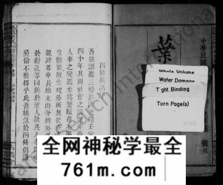 湖南叶氏族谱-叶氏族谱 [42卷,首3卷].pdf电子版