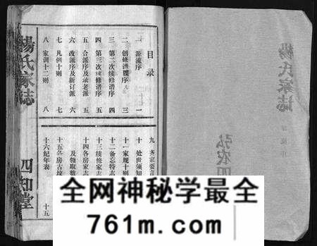 湖北杨氏族谱-杨氏家志 [按房分卷,首1卷](别名：Yang Shi Jia Zhi、杨氏家志).pdf电子版