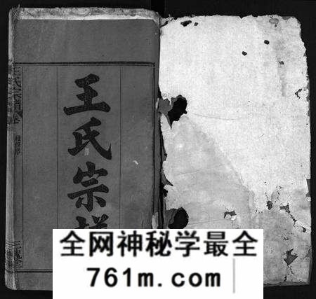 湖北王氏族谱-王氏宗谱 [8卷,首1卷](别名：Wang Shi Zong Pu).pdf电子版