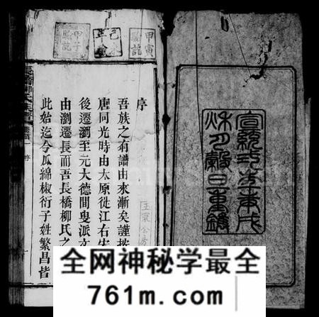 湖南柳氏族谱-柳氏族谱 [27卷,首3卷,末1卷].pdf电子版