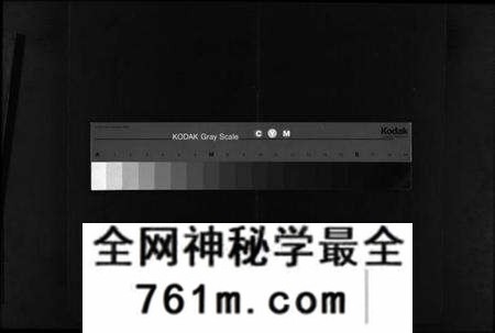 湖北韦氏族谱-韦氏宗谱 [18卷,首4卷,及附卷](别名：韦氏创修大同谱、Wei Shi Zong Pu、韦氏宗谱).pdf电子版