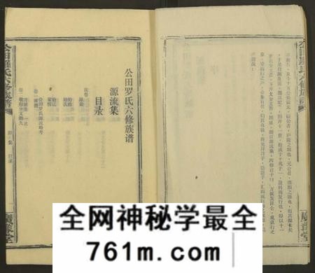 湖南罗氏族谱-公田罗氏族谱[各集分卷].pdf电子版