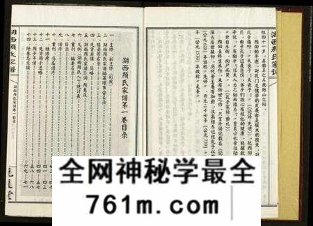 湖南颜氏族谱-湖西颜氏家谱.pdf电子版