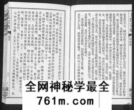 湖北王氏族谱-王氏宗谱 [11卷,首1卷].pdf电子版
