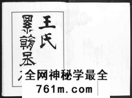 浙江王氏族谱-图山后裔菜子湾王氏宗谱.pdf电子版