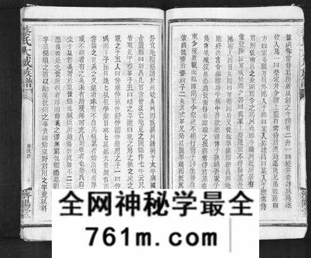 江西蔡氏族谱-蔡氏大成族谱.pdf电子版