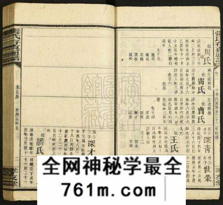 湖南张氏族谱-张氏存真通谱[不分卷].pdf电子版