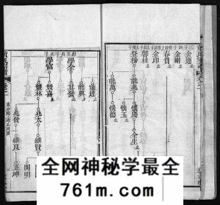 湖北黄氏族谱-黄氏宗谱 [9卷,首1卷](别名：Huang Shi Zong Pu).pdf电子版