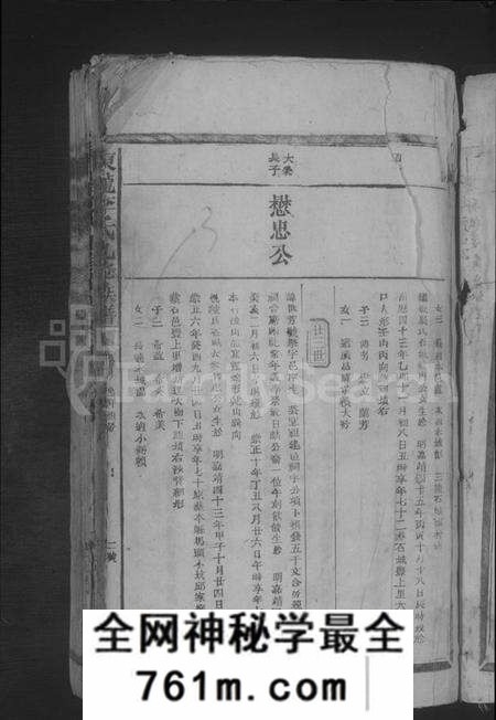 江西李氏族谱-东龙李氏九修族谱 [残卷].pdf电子版