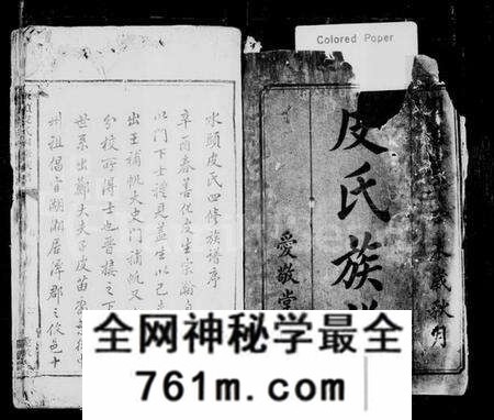 湖南皮氏族谱-水头皮氏四修族谱.pdf电子版