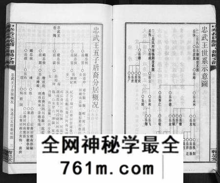 湖南岳氏族谱-中华岳氏统谱邵阳分谱[28卷].pdf电子版