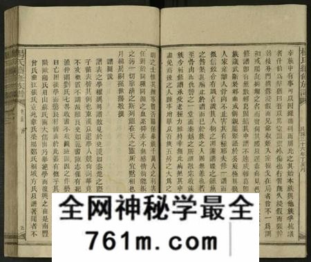 湖南杨氏族谱-新化杨氏族谱 [世系5卷,首10卷].pdf电子版