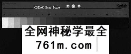 湖北董氏族谱-董氏宗谱 [11卷,首1卷](别名：Dong Shi Zong Pu).pdf电子版