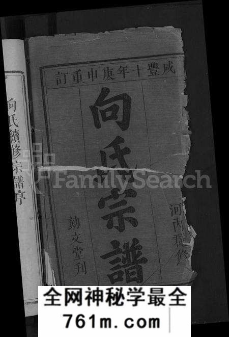 湖北向氏族谱-向氏宗谱 [19卷首1卷].pdf电子版