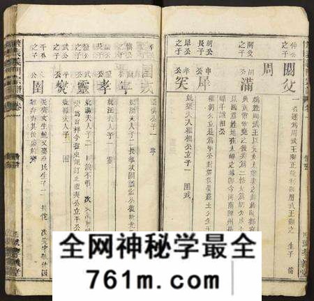 湖北陈氏族谱-[陈氏]旌表义门宗谱.pdf电子版