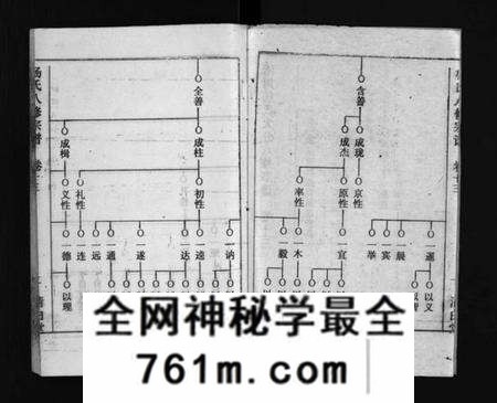 湖北杨氏族谱-浠川杨氏大分八修宗谱 [53卷](别名：杨氏八修宗谱、Xi Chuan Yang Shi Da Fen Ba Xiu Zong Pu).pdf电子版