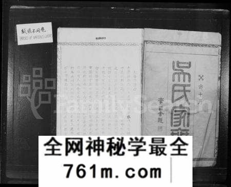 湖北吴氏族谱-吴氏宗谱 [27卷首1卷].pdf电子版