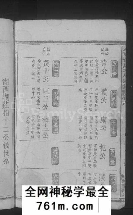 江西石氏族谱-武威石氏大成宗谱 [残卷].pdf电子版