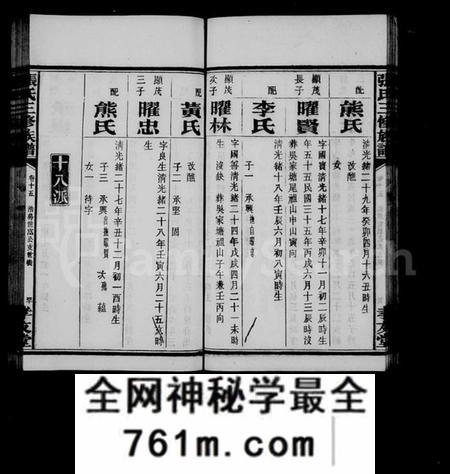 湖南张氏族谱-张氏族谱 [37卷,首1卷].pdf电子版