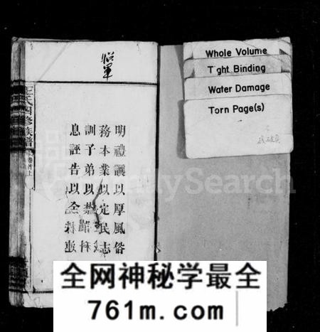 湖南王氏族谱-王氏族谱 [37卷,首3卷].pdf电子版