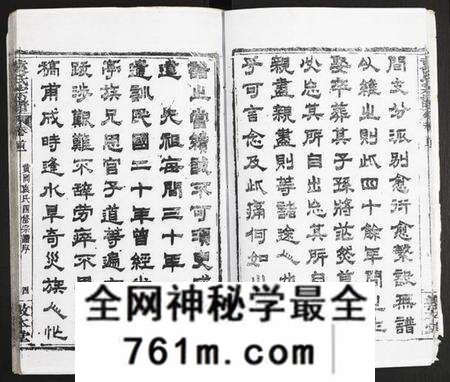 湖北袁氏族谱-袁氏宗谱.pdf电子版