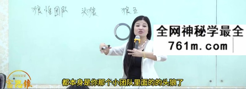 莲星老师2024年4月20-21号《富思维》深圳站课程回放11集