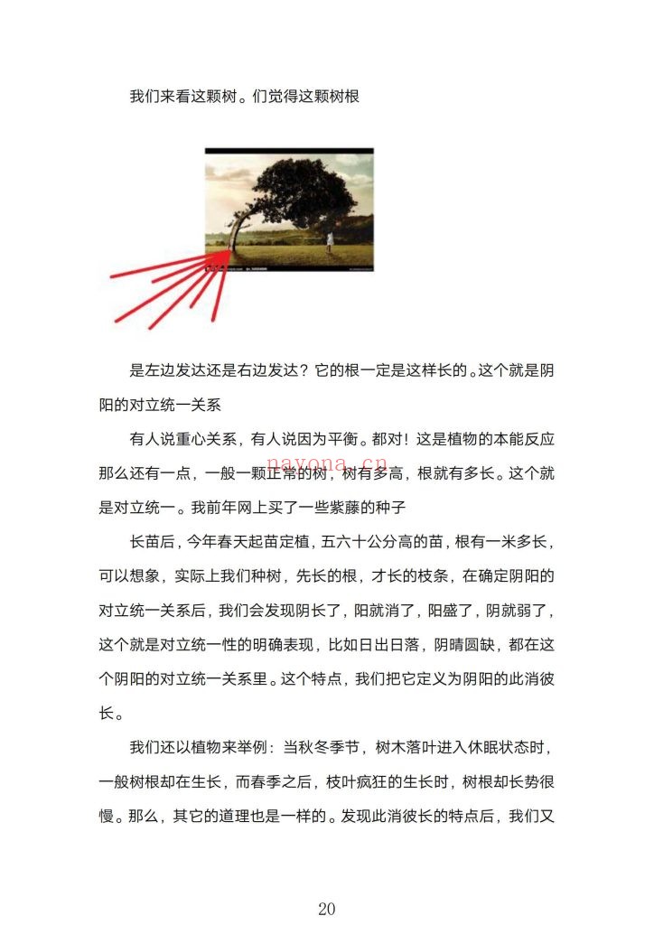 《煜燊奇门小六壬道法讲义两本》
