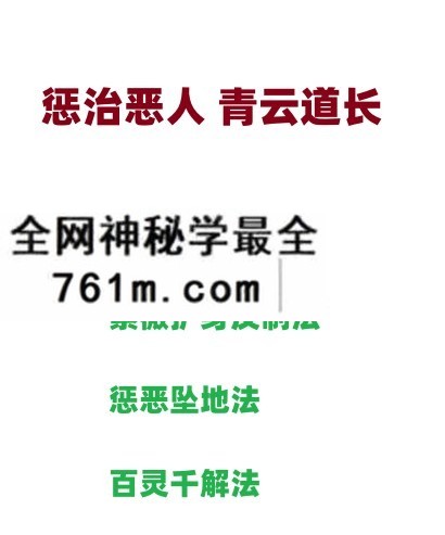 惩治恶人 青云道长惩治恶人法一期