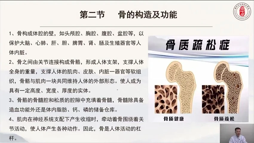 霍英《杰氏徒手整形高级班》视频101集