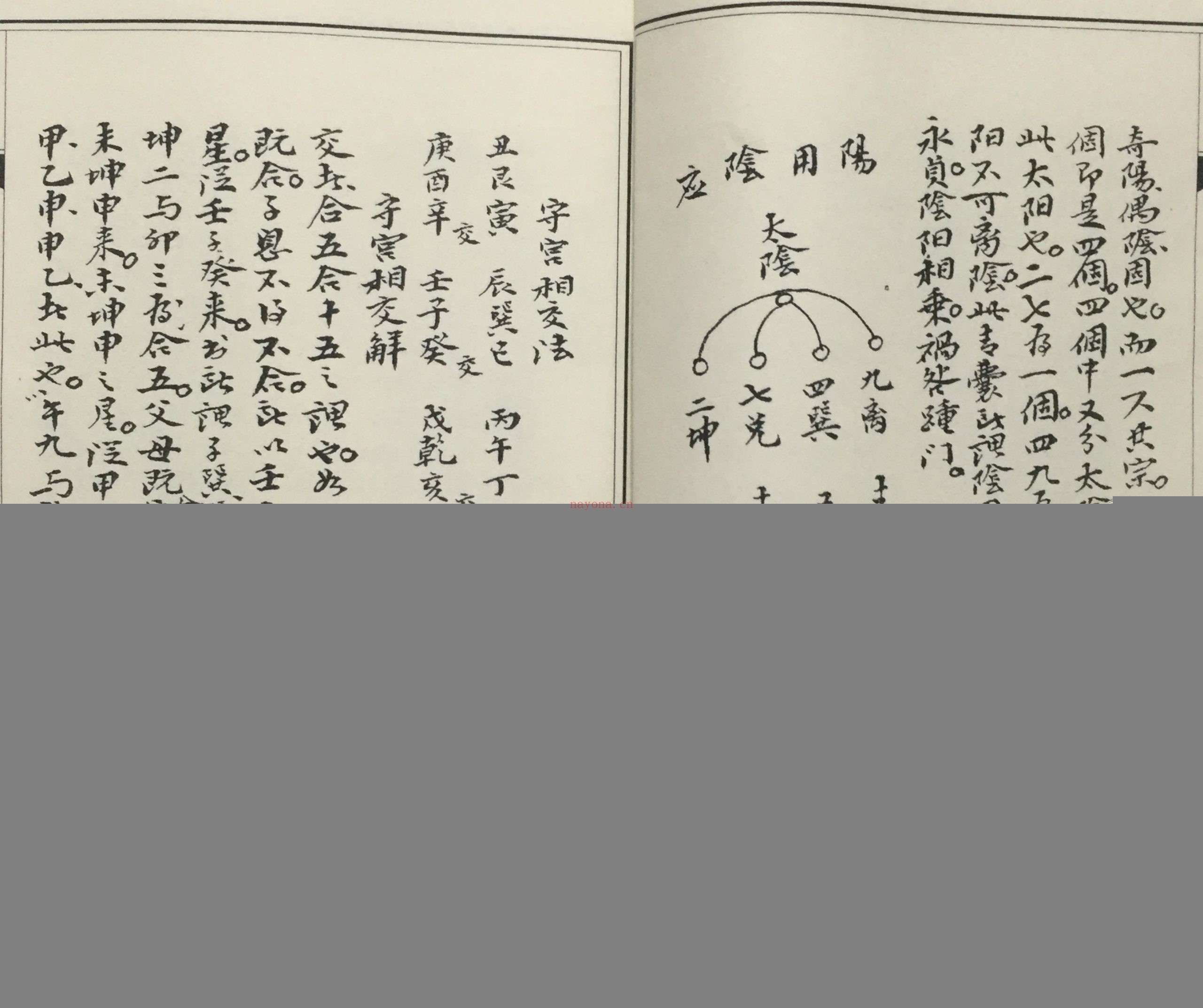 古籍藏本白鹤神仙 心传挨星法例全