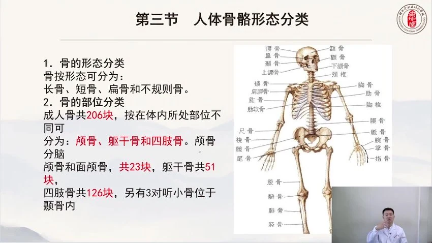 霍英《杰氏徒手整形高级班》视频101集