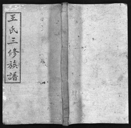 湖北王氏族谱-王氏民籍宗谱 [6卷,首1卷].pdf电子版