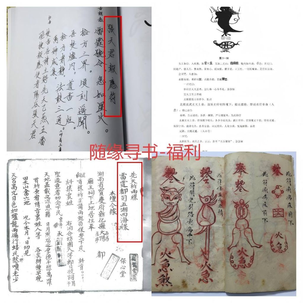 人形符资料4份