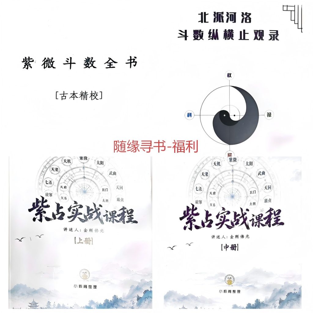 紫微斗数占卜4本
