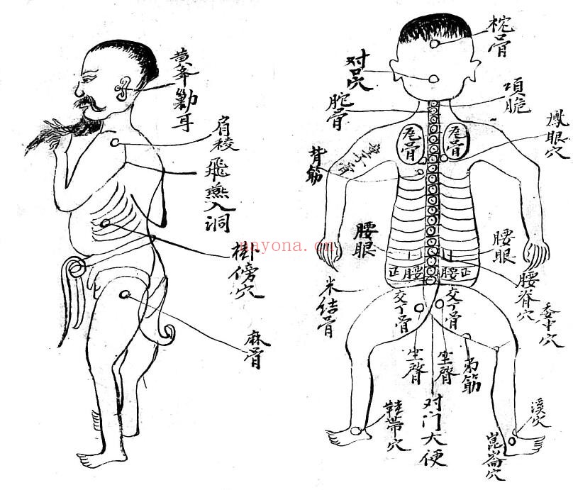 《打书打药秘传》35页双页版