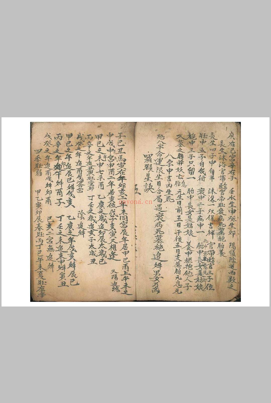 《命理律条》