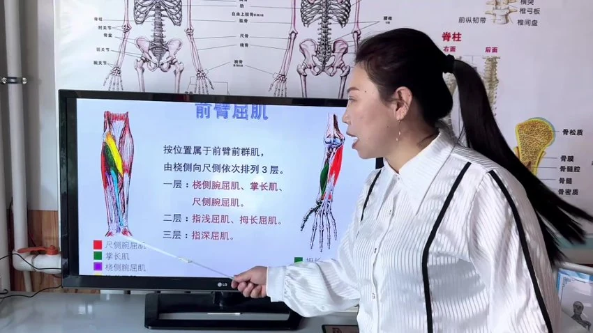 《蒙医包氏正骨3套合集 腰间盘突 颈椎疼痛 神经卡压疗法